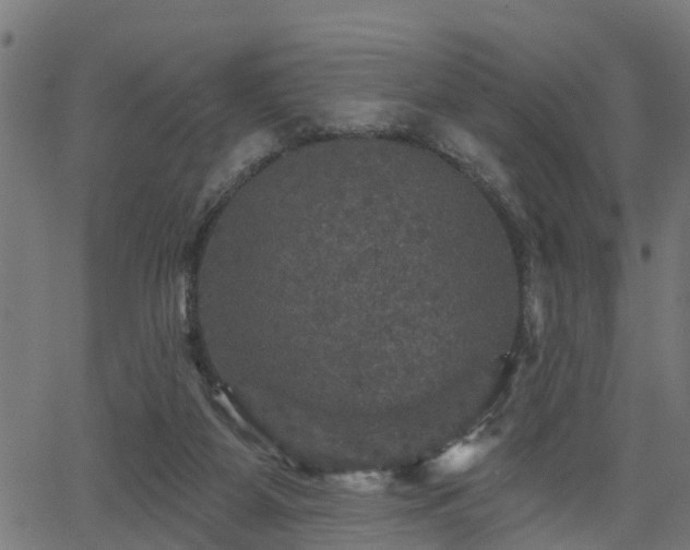 X0000066010115200603061307