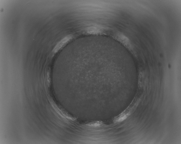 X0000066010116200603061307