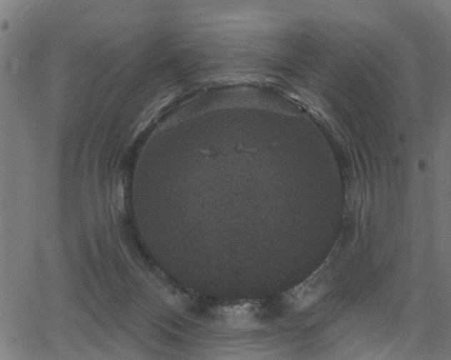 X0000066010120200603061307