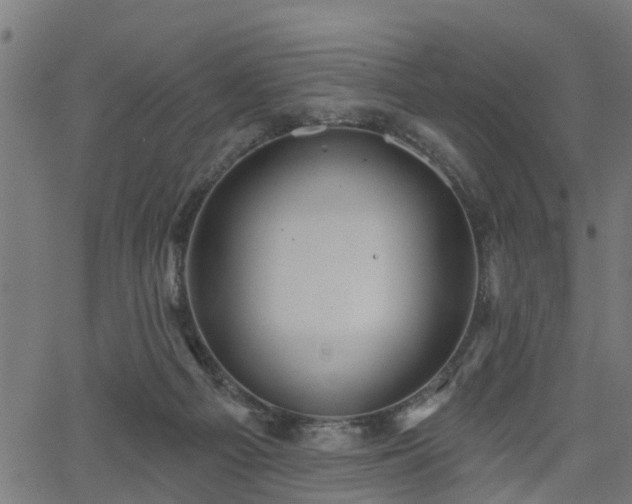 X0000066010121200603061307