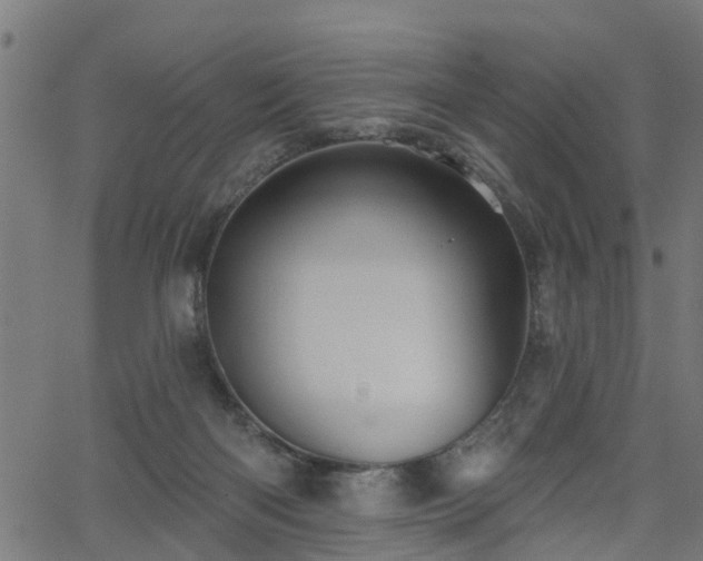 X0000066010122200603061307