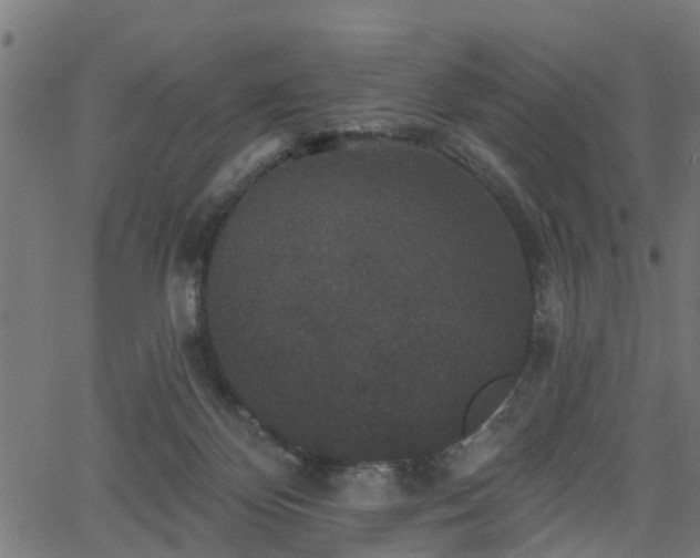 X0000066010124200603061307