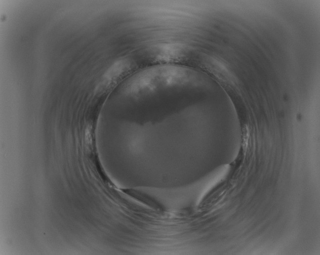 X0000066010127200603061307