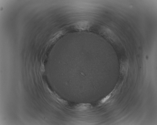 X0000066010128200603061307