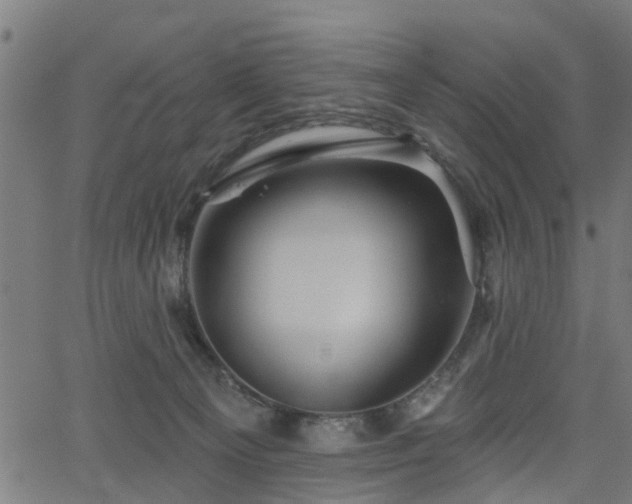 X0000066010129200603061307