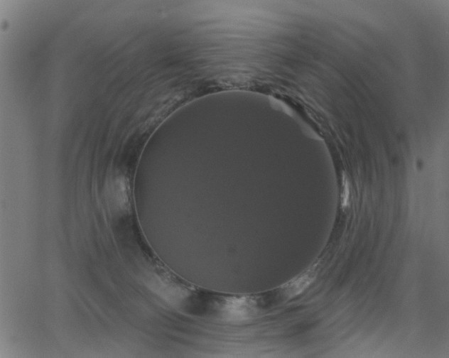 X0000066010130200603061307