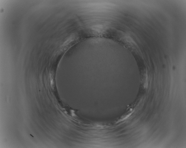 X0000066010131200603061307