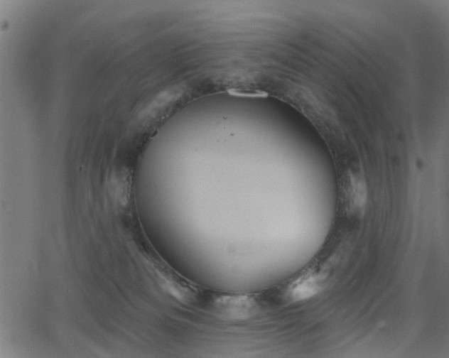 X0000066010133200603061307