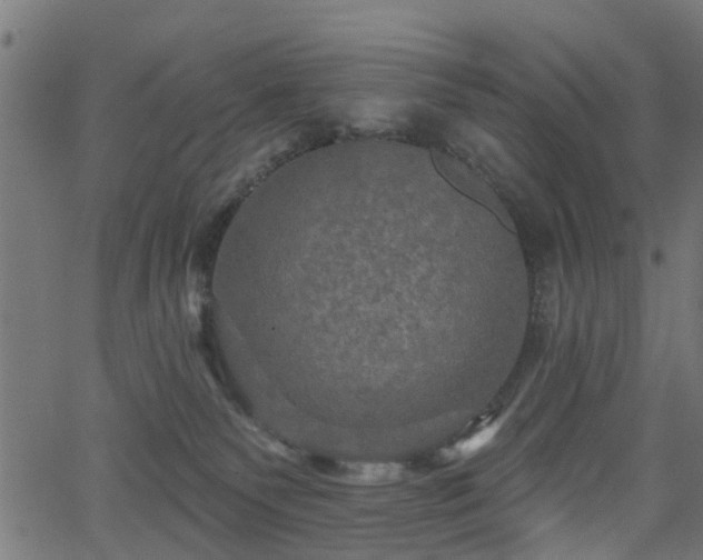 X0000066010135200603061307