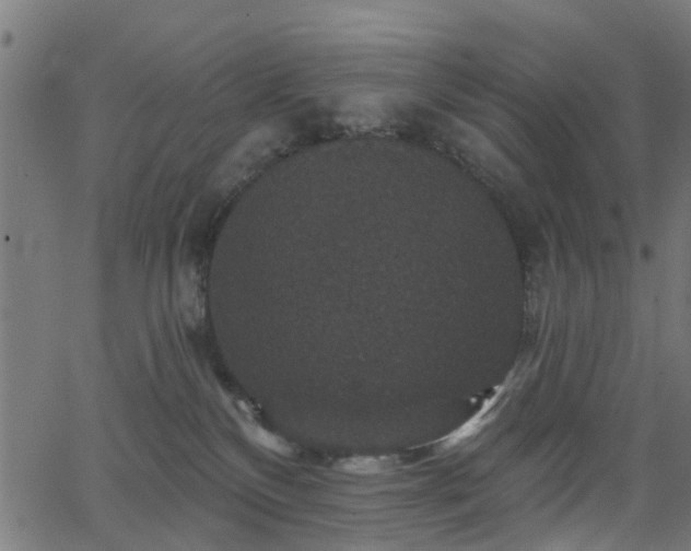 X0000066010136200603061307