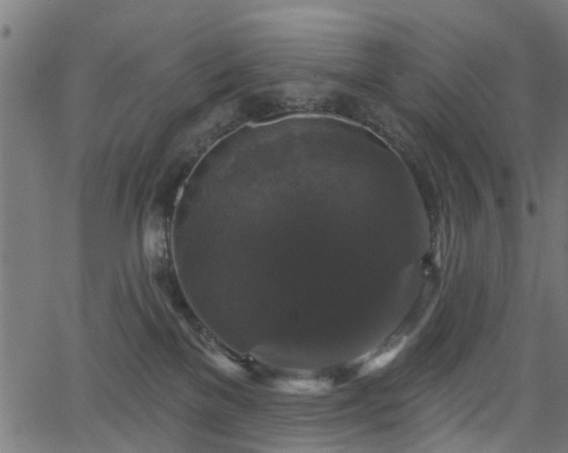 X0000066010137200603061307