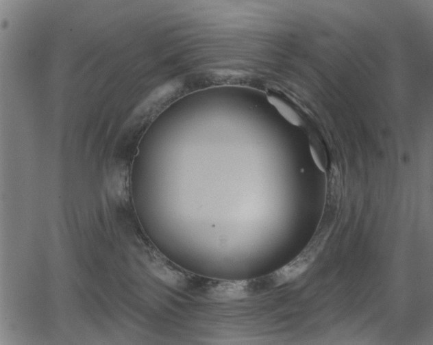 X0000066010138200603061307