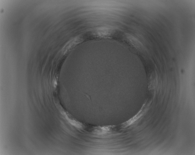 X0000066010140200603061307