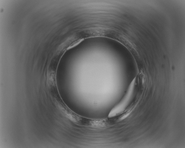 X0000066010141200603061307