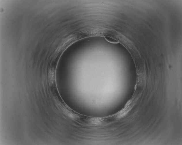 X0000066010142200603061307