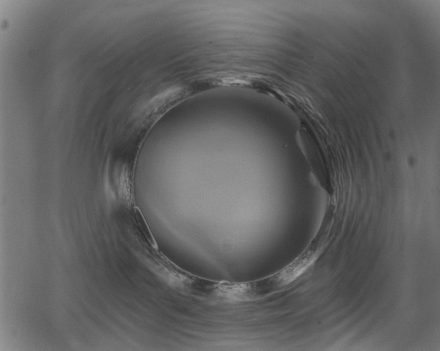 X0000066010143200603061307