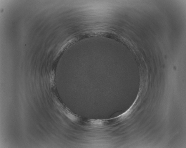 X0000066010144200603061307