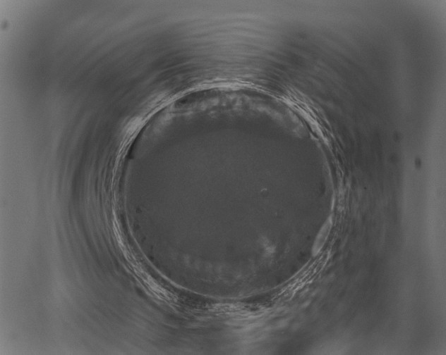 X0000066010145200603061306