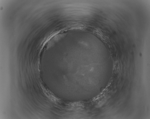 X0000066010146200603061306