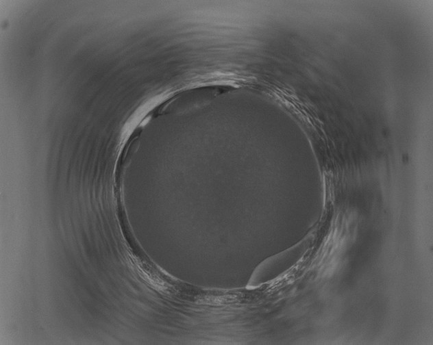 X0000066010147200603061306