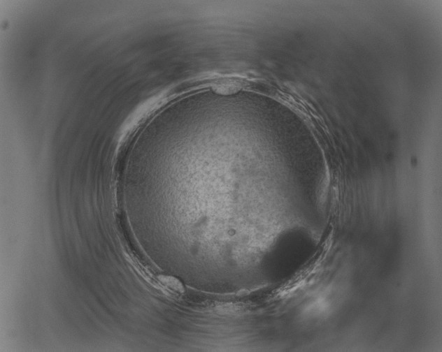 X0000066010149200603061306