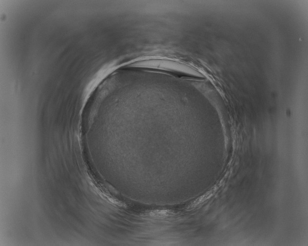 X0000066010152200603061306