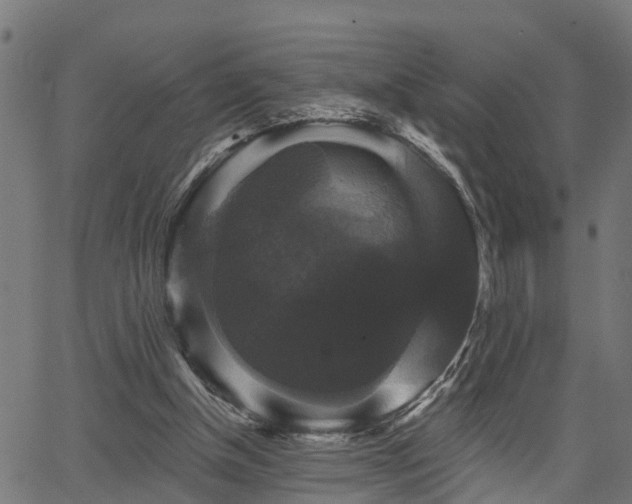 X0000066010154200603061306