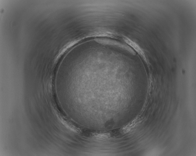 X0000066010155200603061306