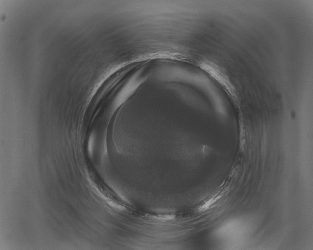 X0000066010156200603061306