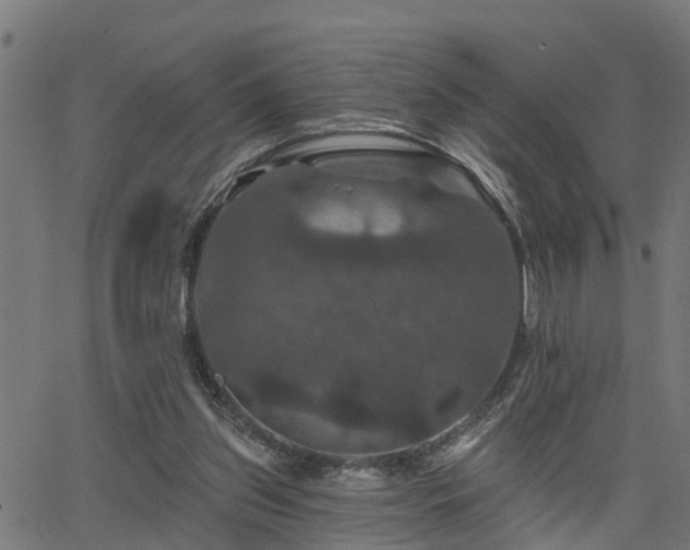 X0000066010157200603061306