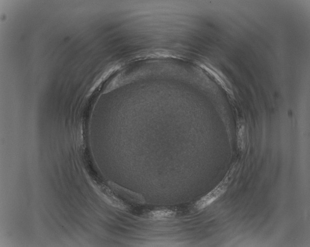 X0000066010158200603061306