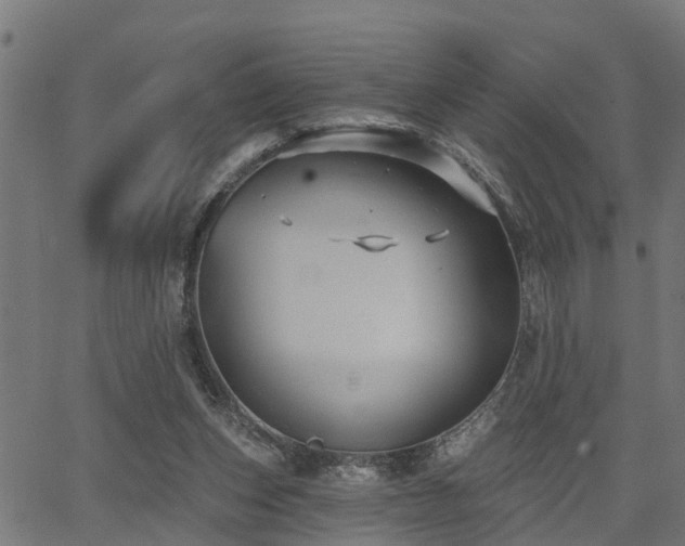 X0000066010159200603061306