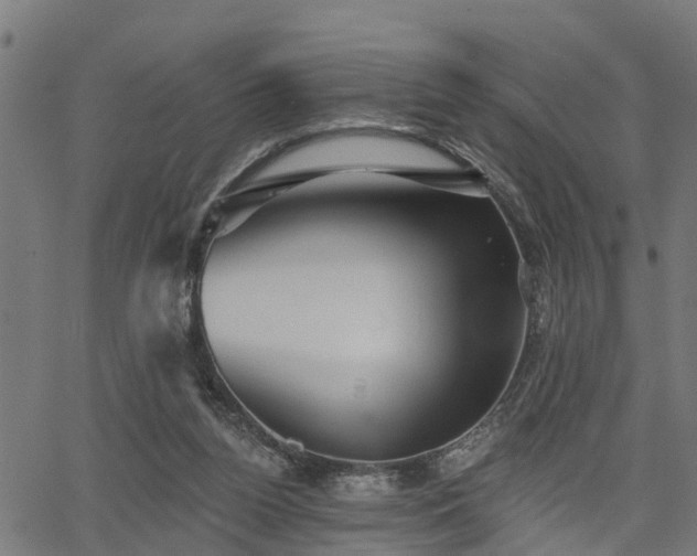 X0000066010160200603061306