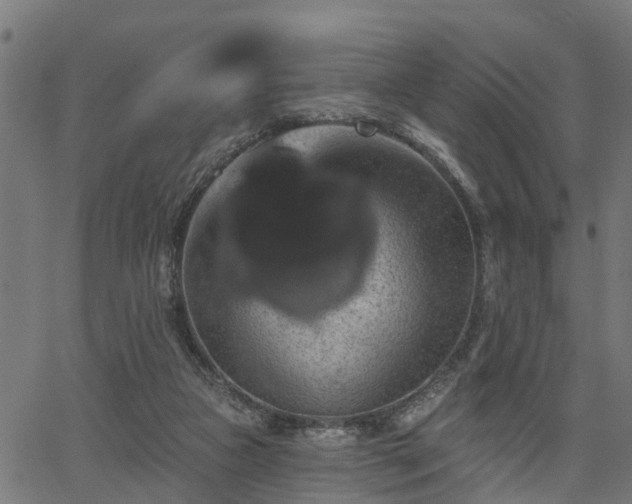 X0000066010161200603061306