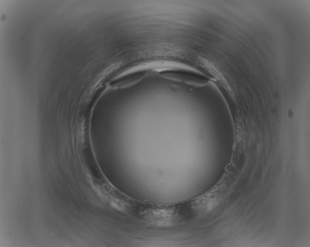 X0000066010163200603061306