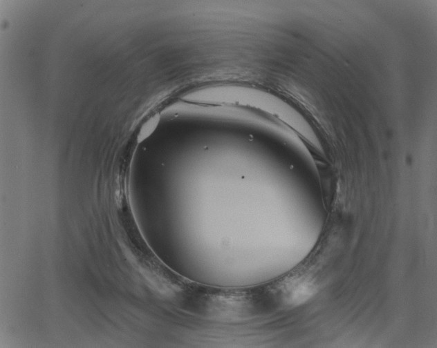 X0000066010164200603061306