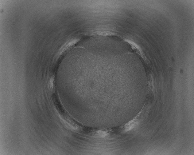 X0000066010166200603061306