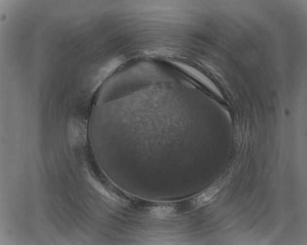 X0000066010168200603061306