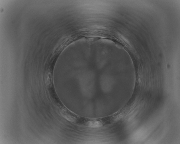 X0000066010169200603061306