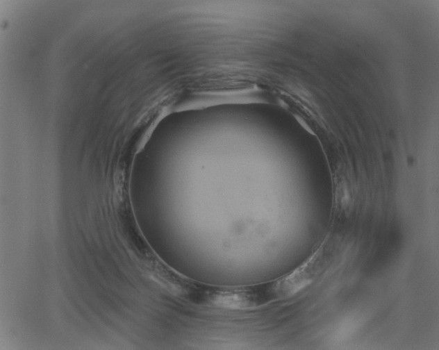 X0000066010171200603061306