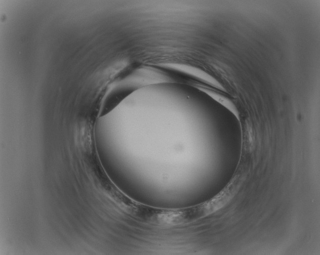 X0000066010172200603061306