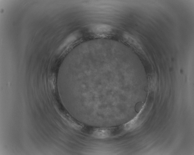 X0000066010174200603061306