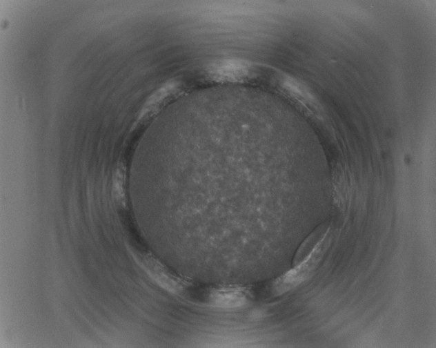 X0000066010175200603061306