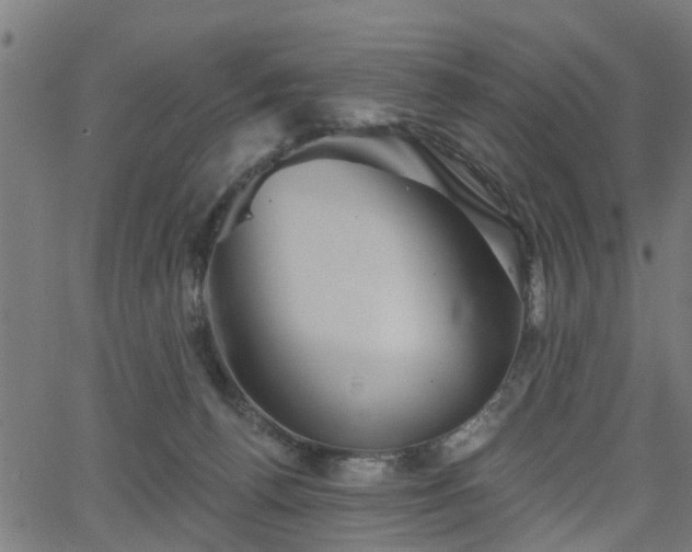 X0000066010176200603061306