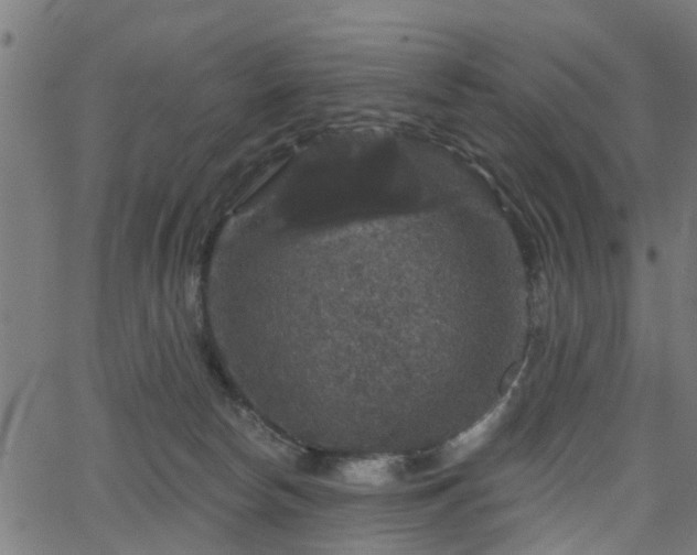 X0000066010178200603061306