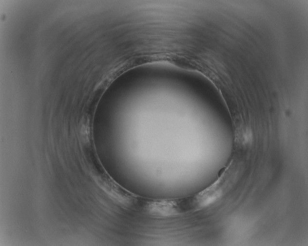 X0000066010179200603061306