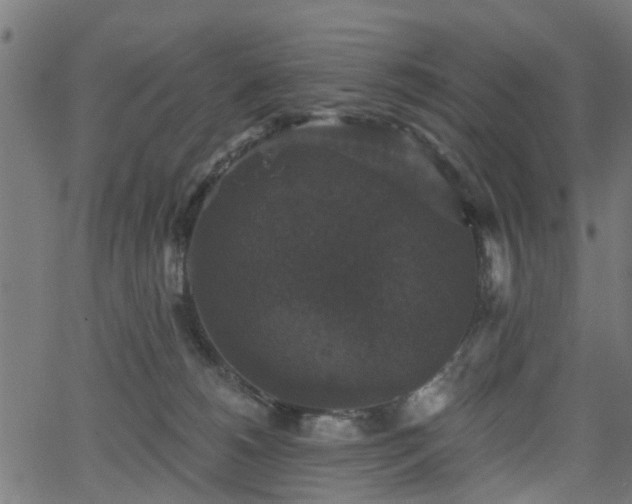 X0000066010180200603061307