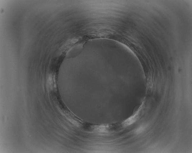 X0000066010182200603061307