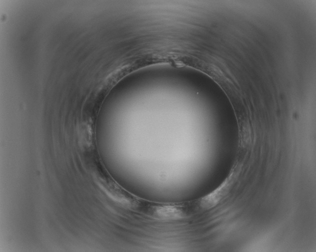 X0000066010183200603061307