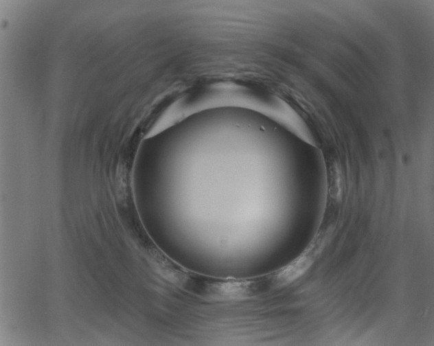 X0000066010184200603061307